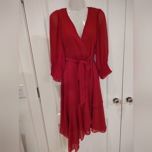 Elegant Fushia Dress